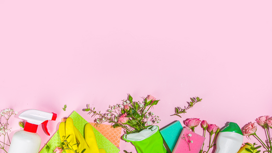Spring Cleaning Necessities 2024