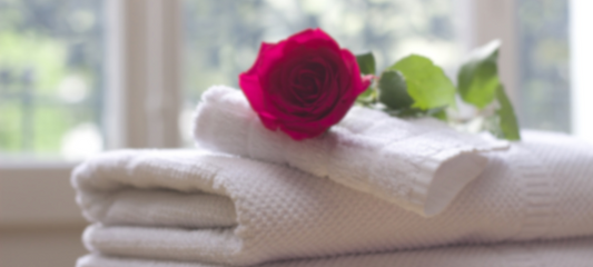 Your Guide to Hospitality Cleaning: Practical Tips for Hotels and Restaurants