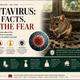Hantavirus: The Facts, Not the Fear and What to remember | What not to forget!