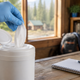 Hantavirus in America: What's Happening Today May 13, 2026