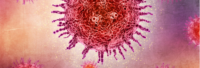 Summer Bacterial Infections