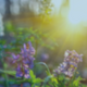 Prepare Your Business for Seasonal Changes: Spring to Summer Cleaning Guide