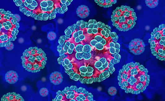 Hantavirus in America: What's Happening May 15, 2026