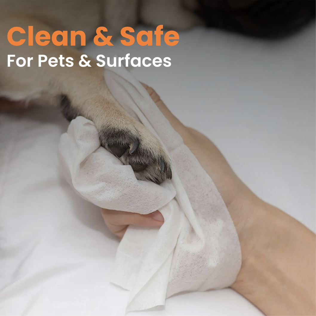 SONO pet wipes cleaning dogs paws with wipe