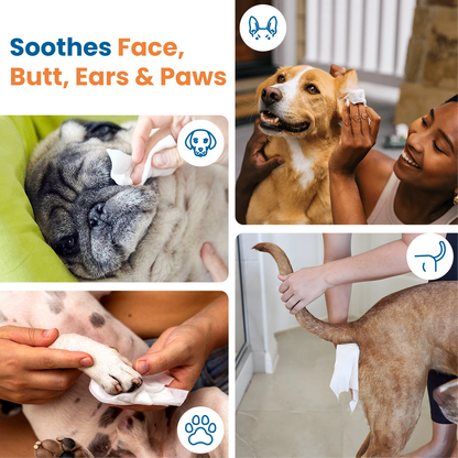 Collage of a person cleaning a dog's face, ears, and paws with text 'Soothes Face, Butt, Ears & Paws' using SONO pet wipes