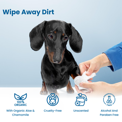 Plant derived natural pet wipes made in USA cleaning dog paws Cruelty free unscented paraben free Costco