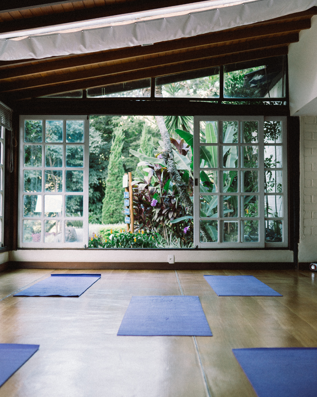Yoga room with blue mats on wooden floor and large glass wall showing greenery outside